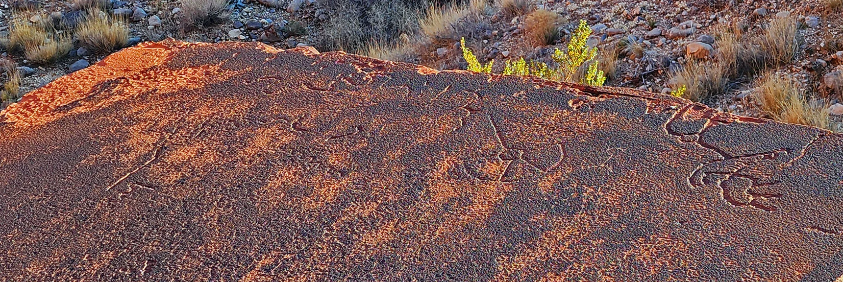 More Petroglyphs on Top Side of the Boulder | Upper Calico Hills Loop | Calico Basin and Red Rock Canyon, Nevada