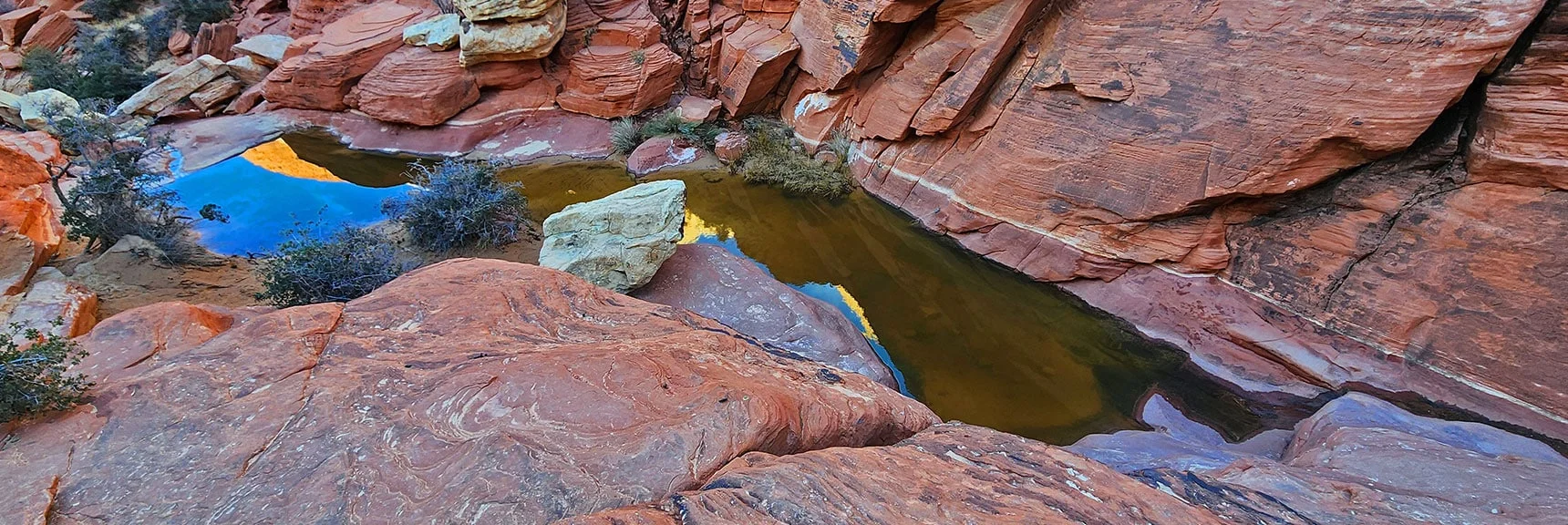 Passing the Lower Calico Tank Ephemeral Pool | Upper Calico Hills Loop | Calico Basin and Red Rock Canyon, Nevada