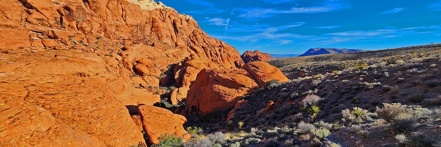 Calico Hills Trail Quickly Becomes the Grand Circle Loop Trail. | Upper Calico Hills Loop | Calico Basin and Red Rock Canyon, Nevada