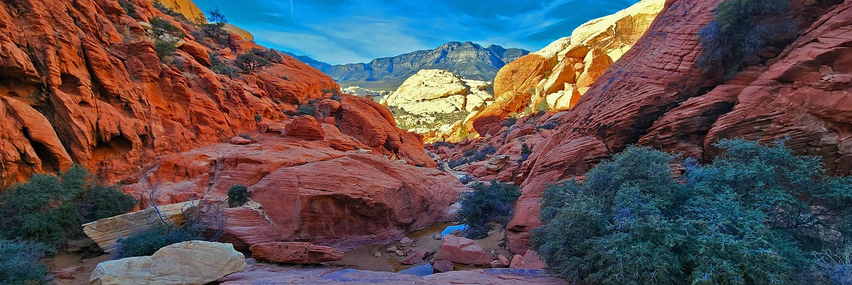 Nearing the Lower Calico Tanks Trail | Upper Calico Hills Loop | Calico Basin and Red Rock Canyon, Nevada