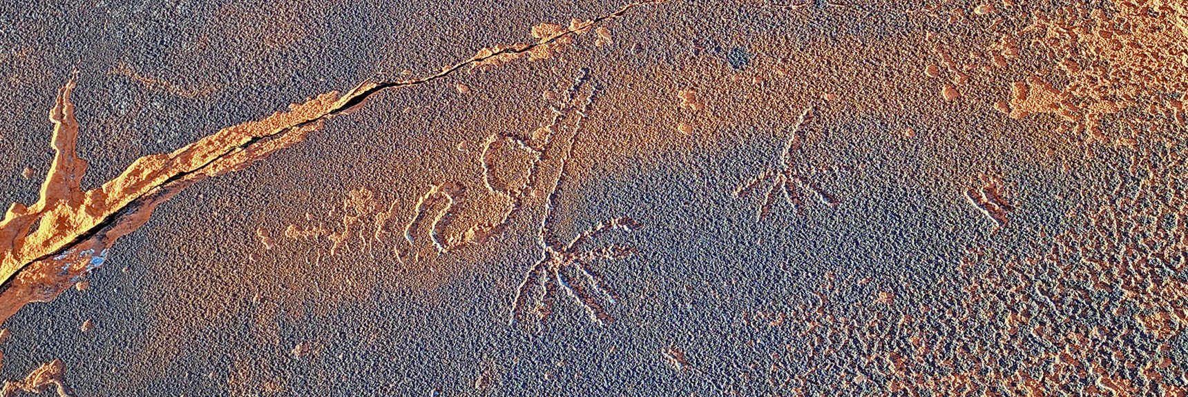 Enigmatic Petroglyphs...Meaning Unknown | Upper Calico Hills Loop | Calico Basin and Red Rock Canyon, Nevada