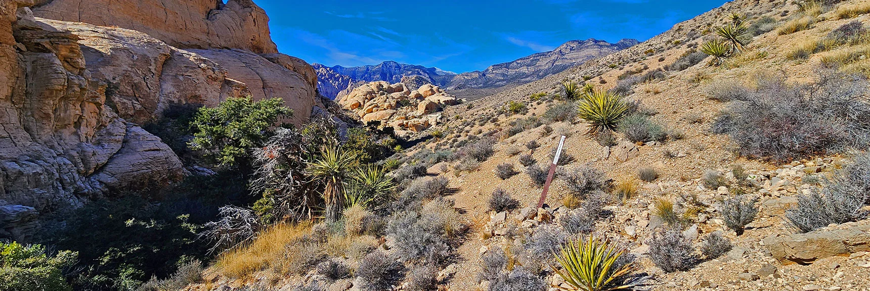 Descending the Rattlesnake Trail. Use White Cliffs on Left as Guide. | Upper Calico Hills Loop | Calico Basin and Red Rock Canyon, Nevada