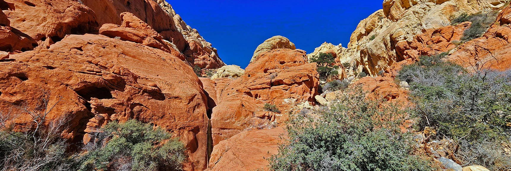 Larger Boulders and Ledges Ahead. Light Class 3 Still Possible. | Upper Calico Hills Loop | Calico Basin and Red Rock Canyon, Nevada