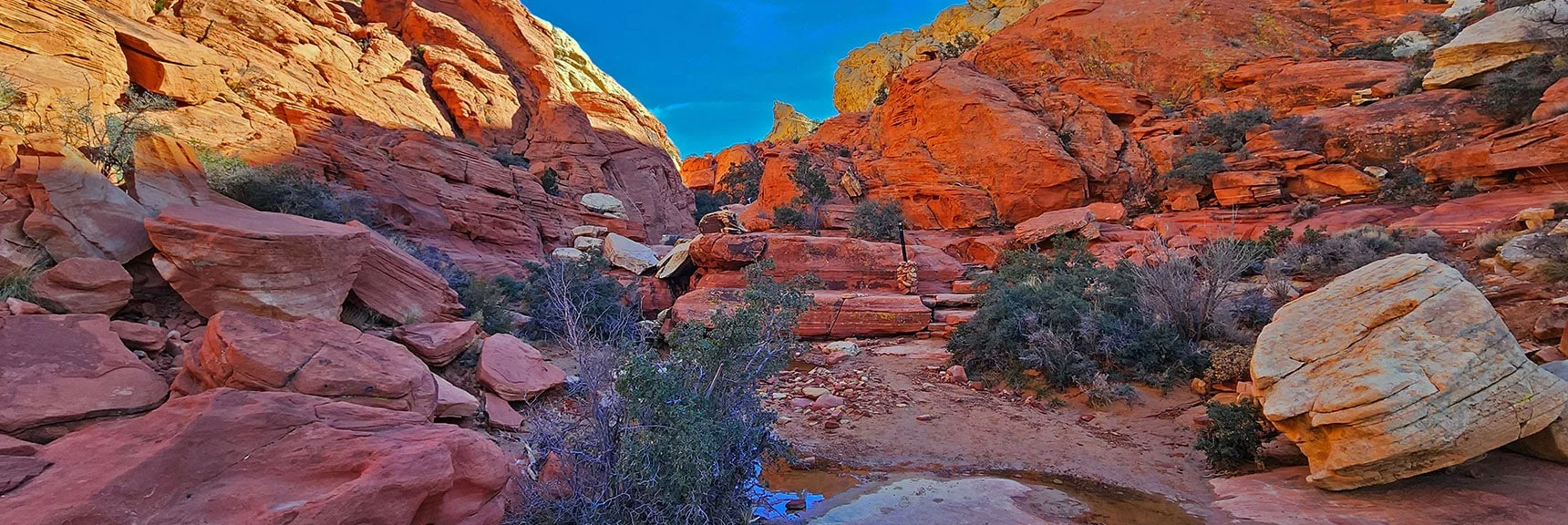 Continuing Upward Toward the Upper Calico Tank and Spectacular Viewpoint Beyond | Upper Calico Hills Loop | Calico Basin and Red Rock Canyon, Nevada