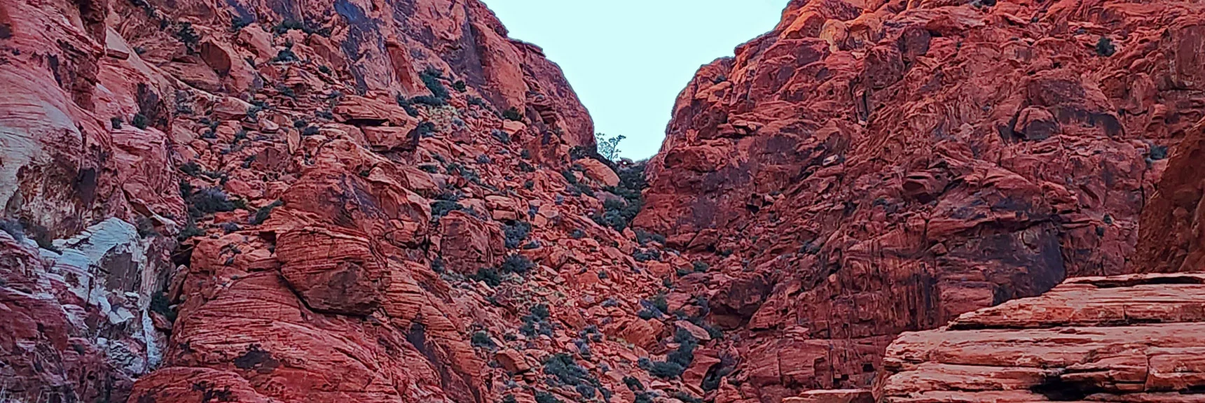 View Back Up the Black Corridor from Its Eastern Base. | Upper Calico Hills Loop | Calico Basin and Red Rock Canyon, Nevada