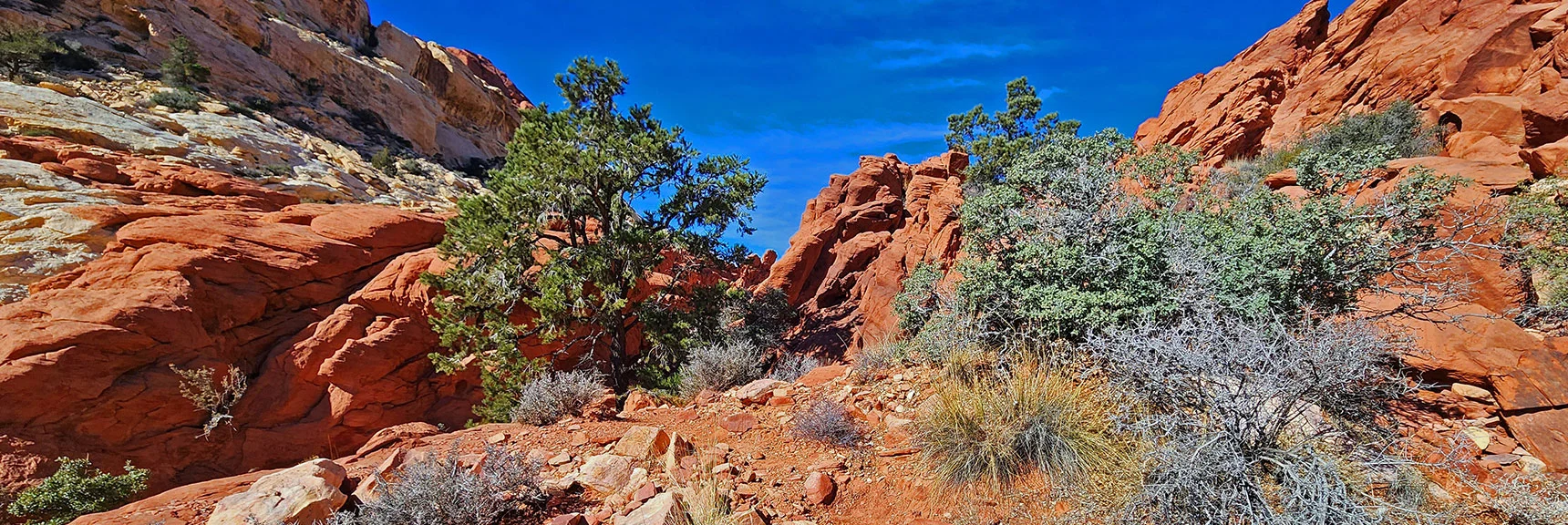 Now Passing Through a Beautiful Aztec Red Sculpted Sandstone Stretch | Upper Calico Hills Loop | Calico Basin and Red Rock Canyon, Nevada