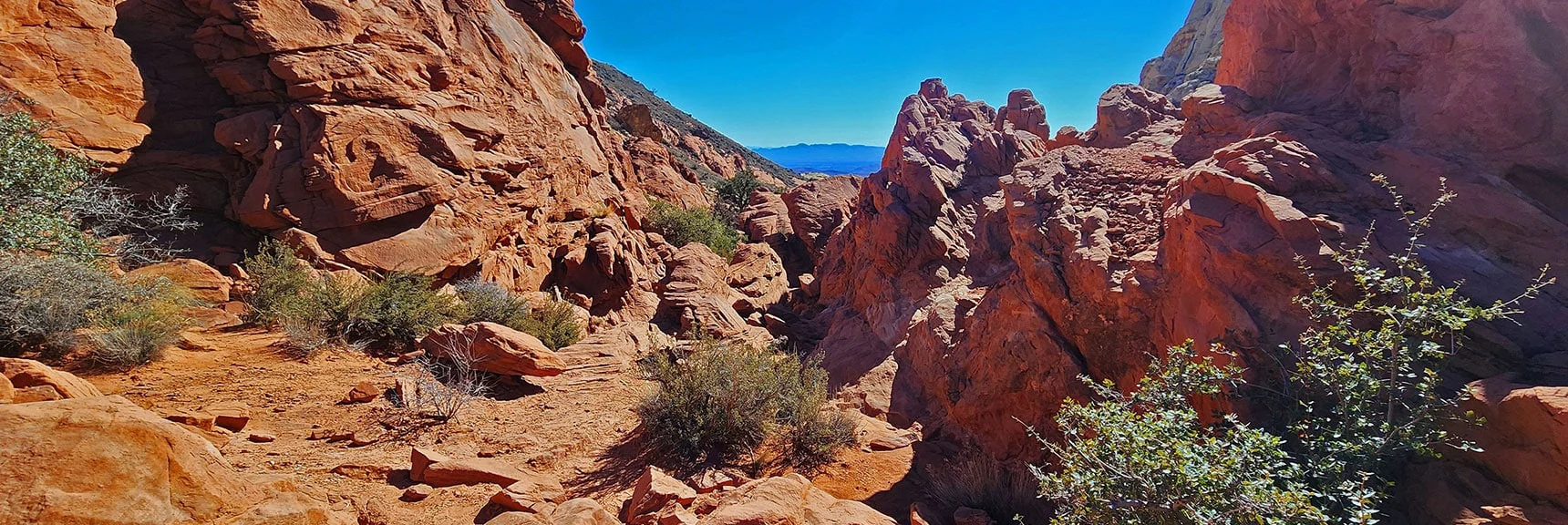 Like Passing Through an Elaborate Bonsai Garden | Pink Goblin Loop | Calico Basin, Nevada