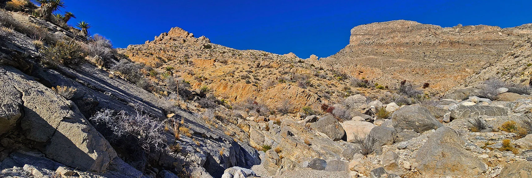 Approaching Left Turn Up Rattlesnake Gulch | Pink Goblin Loop | Calico Basin, Nevada