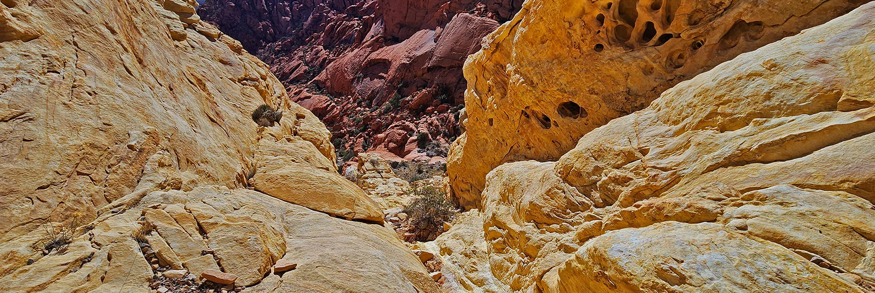 Steep Descent, But Not Too Difficult. | Pink Goblin Loop | Calico Basin, Nevada