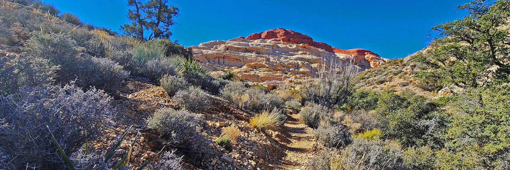 Rattlesnake Gulch Meets Rattlesnake Trail Near Ash Canyon Upper Entrance. | Pink Goblin Loop | Calico Basin, Nevada