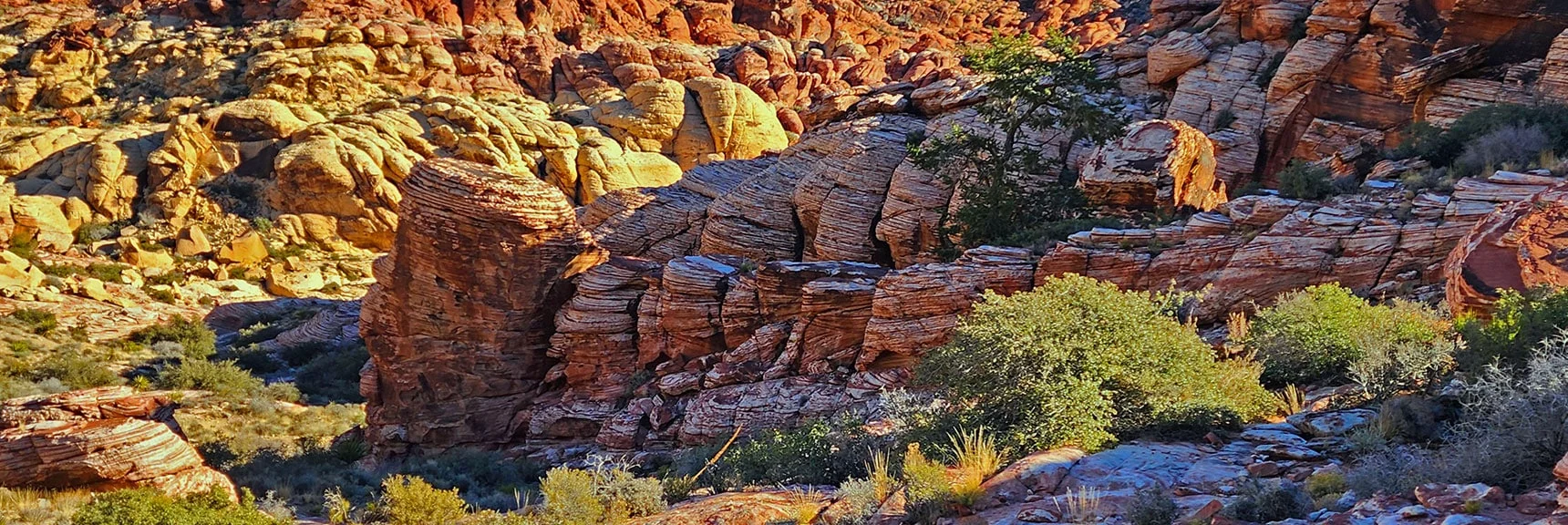 View Along North Side of Kraft Mt. Down into Gateway Canyon | Pink Goblin Loop | Calico Basin, Nevada