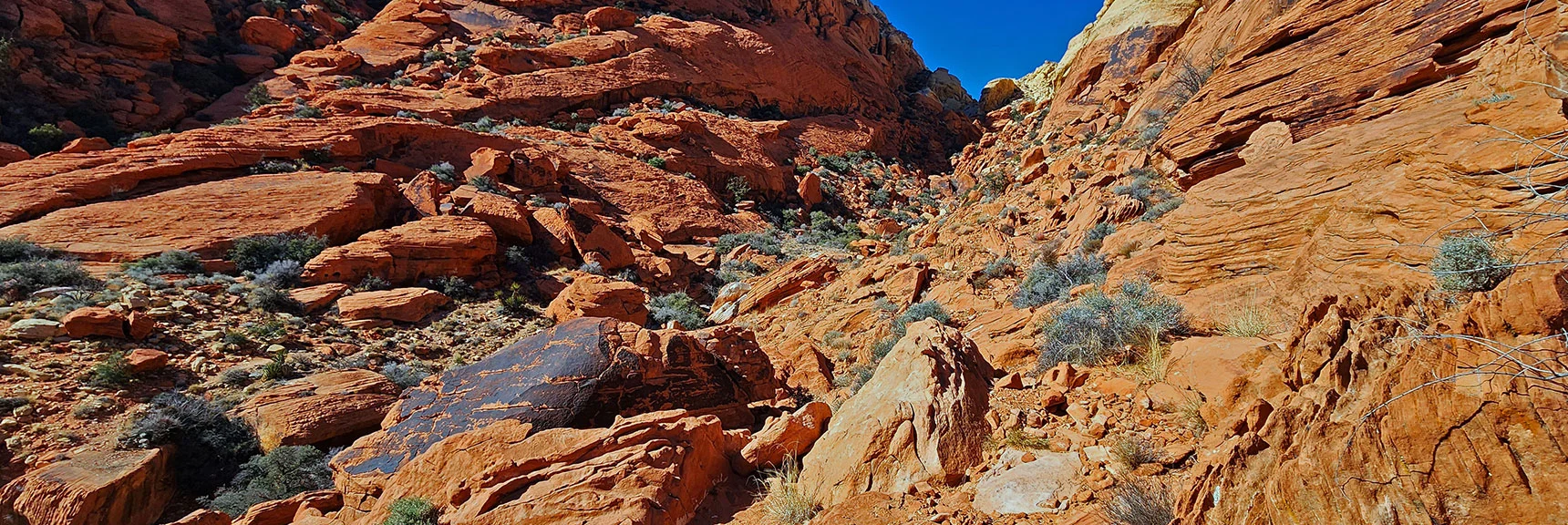 View Back Up Ash Canyon. | Pink Goblin Loop | Calico Basin, Nevada