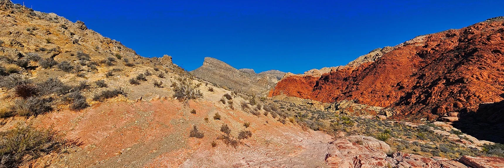 Turtlehead Peak Seen from Pink Goblin Pass Summit | Pink Goblin Loop | Calico Basin, Nevada