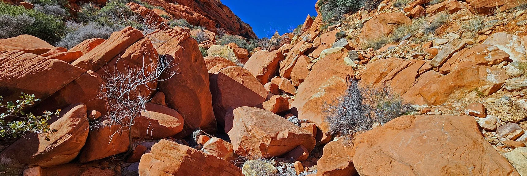 View Back Up the Boulder Stretch Just Bypassed (above to right). Many Boulder Bypass Routes. | Pink Goblin Loop | Calico Basin, Nevada