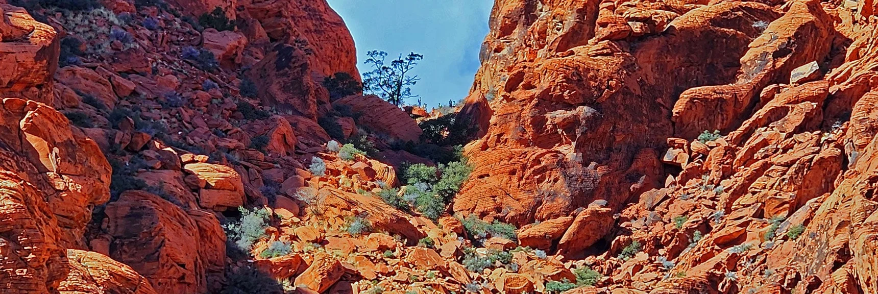 The Corridor is a Passage Between Calico Basin and Red Rock Canyon | Calico Basin Daily Workout Trails | Calico Basin, Nevada