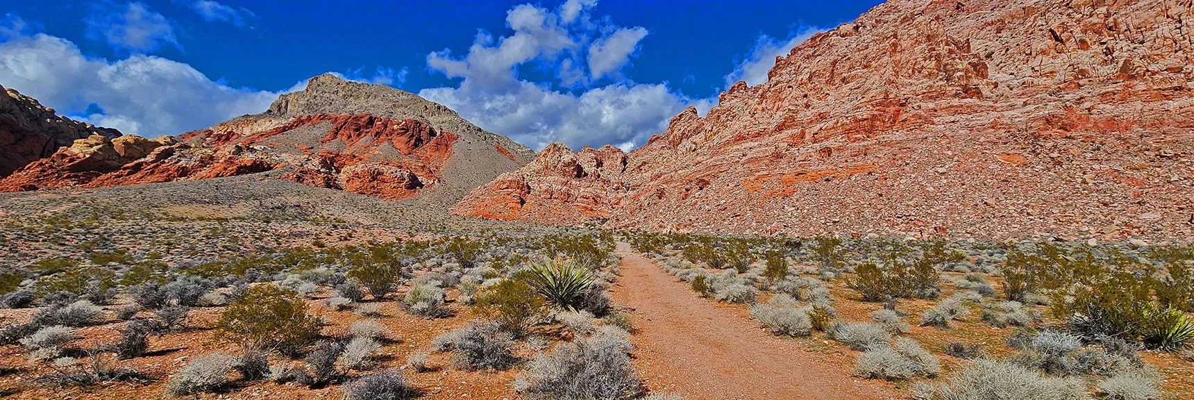 Take Kraft Mt. Loop to the Southwest Base of Kraft Mt., Then Turn Right | Calico Basin Daily Workout Trails | Calico Basin, Nevada
