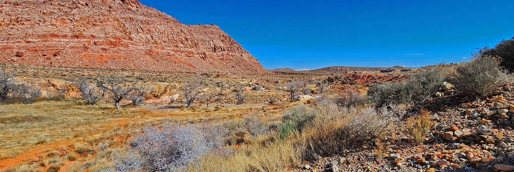 Cross Ash Spring Area to Connect with the Kraft Mountain Loop | Calico Basin Daily Workout Trails | Calico Basin, Nevada