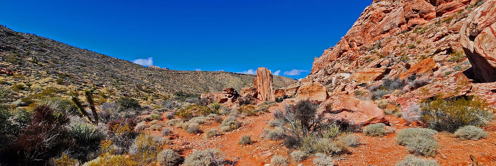 I Call This Formation (center) the "Tree Trunk Pillar". | Calico Basin Daily Workout Trails | Calico Basin, Nevada