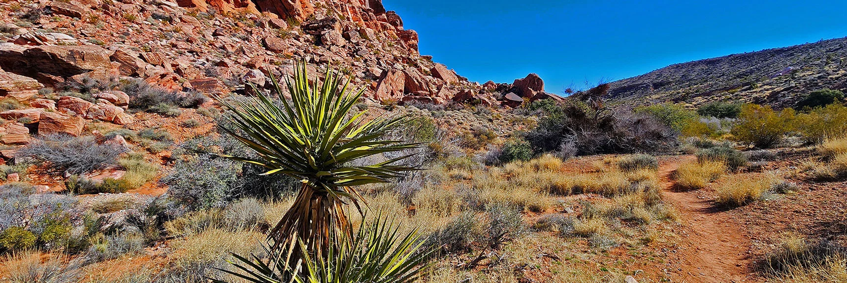 Heading Toward Sandstone Formations. Freeway Trail on Ridge to Right. | Calico Basin Daily Workout Trails | Calico Basin, Nevada