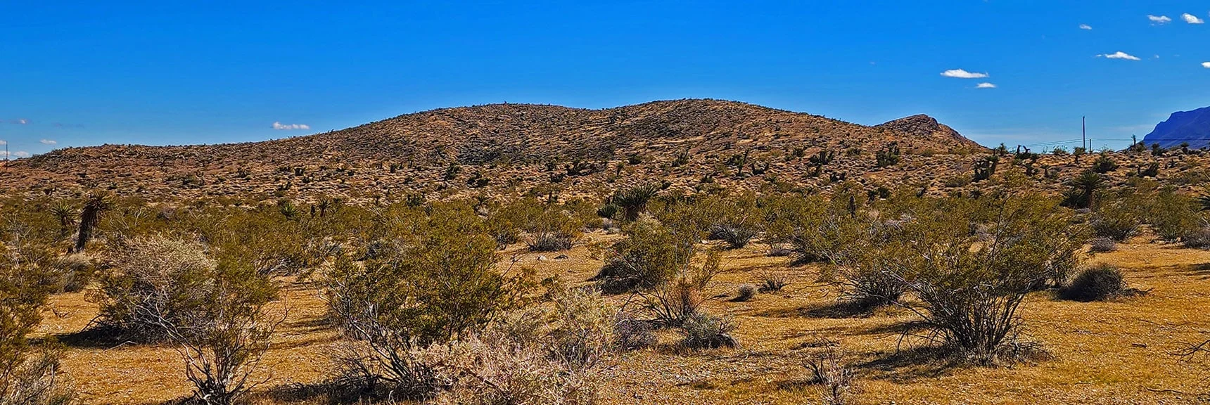 Peak 3844 Ridge and Peak. Another Trail Summits the Peak. | Calico Basin Daily Workout Trails | Calico Basin, Nevada