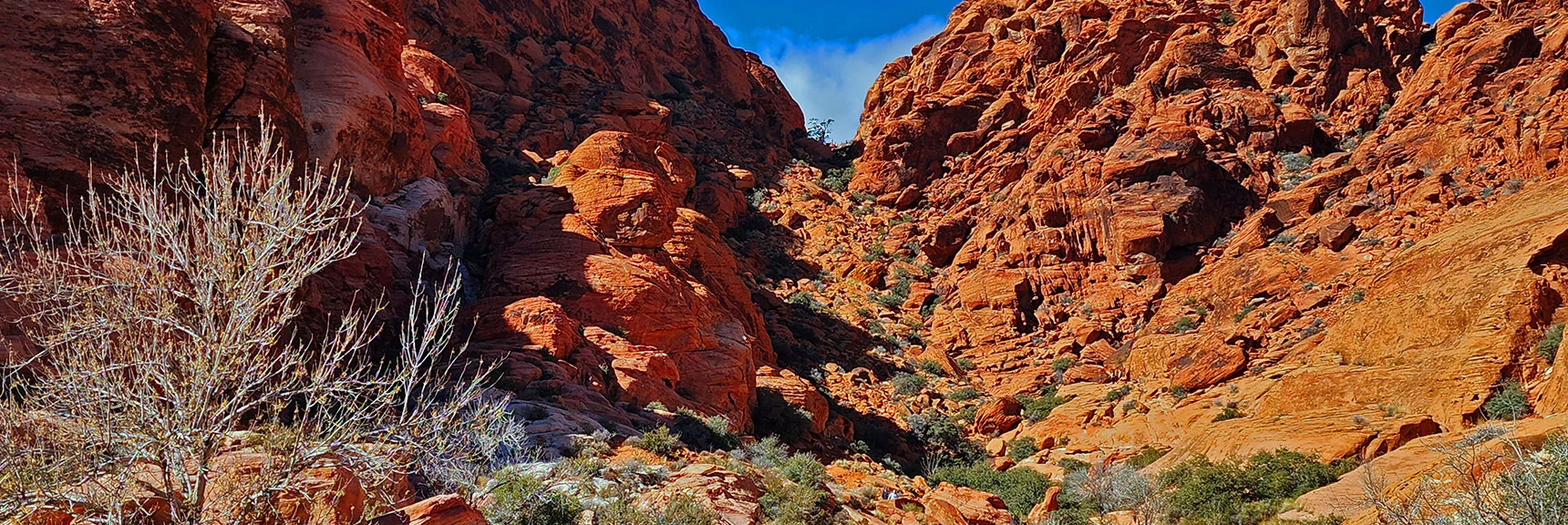 Black Corridor Divides Calico Hills Into an Upper and Lower Region | Calico Basin Daily Workout Trails | Calico Basin, Nevada
