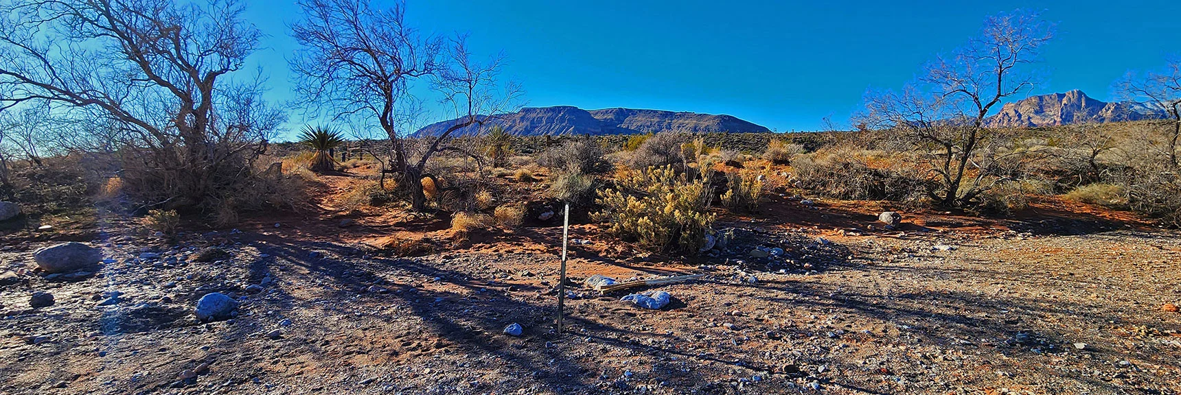 Cross Calico Basin Road to the Freeway Trail (long ridge ahead) for Clockwise Loop | Calico Basin Daily Workout Trails | Calico Basin, Nevada