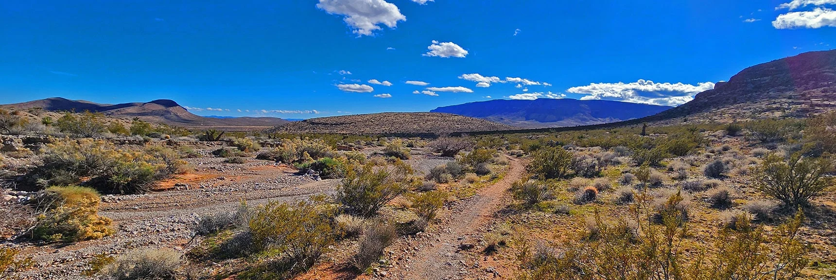 The Half Wilson Trail Will Take You Back to Gene's Trailhead. Blue Diamond Hill Ahead Guides the Way | Calico Basin Daily Workout Trails | Calico Basin, Nevada