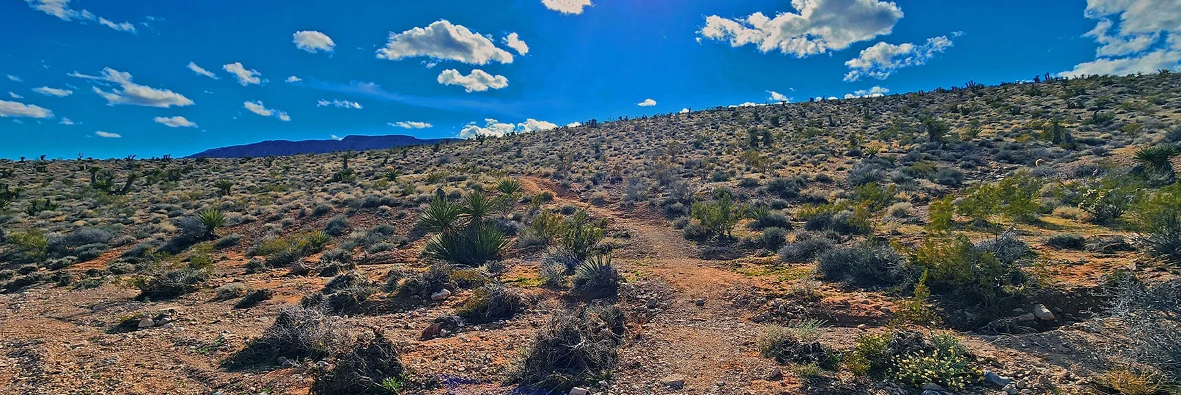 Ascending Half Wilson Trail Up That Final Ridge | Calico Basin Daily Workout Trails | Calico Basin, Nevada