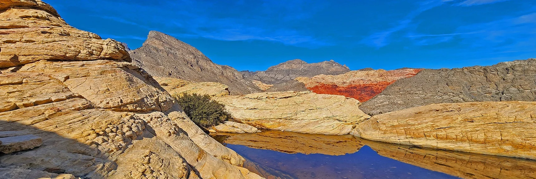 Tinaja (Ephimeral Pool) Near the Summit | Red Cap Peak Summit | Red Rock Canyon NCA, Nevada