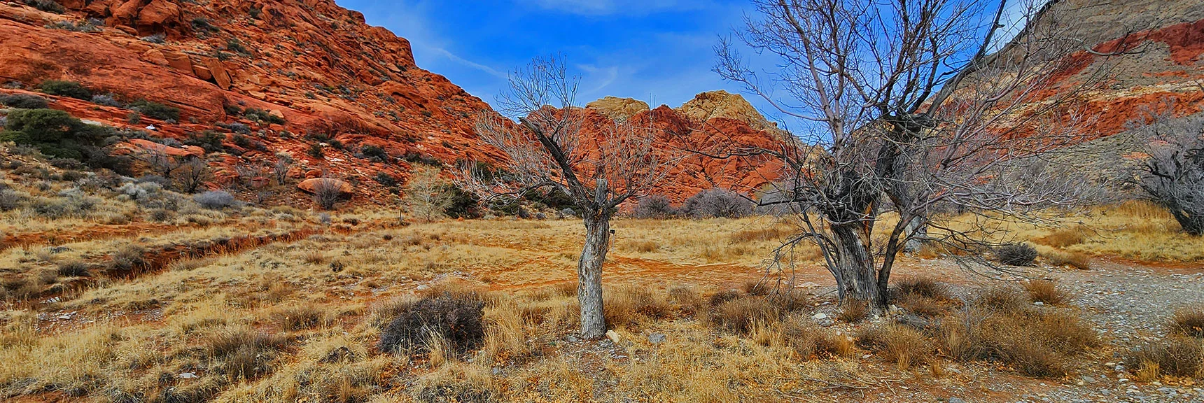 Pass Through Ash Spring Keeping Your Sight on Red Cap's Ascent Slot Ahead | Red Cap Peak Summit | Red Rock Canyon NCA, Nevada