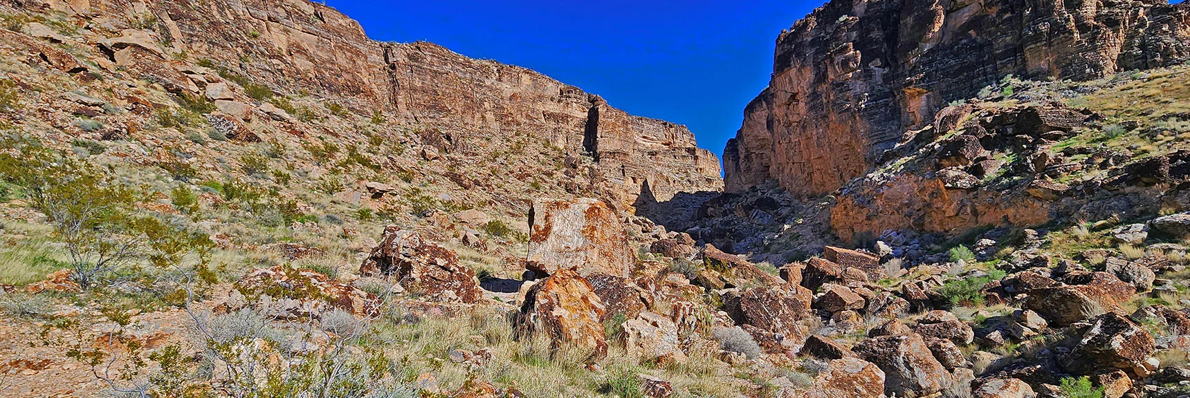 New to This Canyon, I Navigated the Huge Boulders. Echo Canyon Splits to Right Below Caves. | Fossil Canyon | Cowboy Canyon | Blue Diamond Hill, Nevada