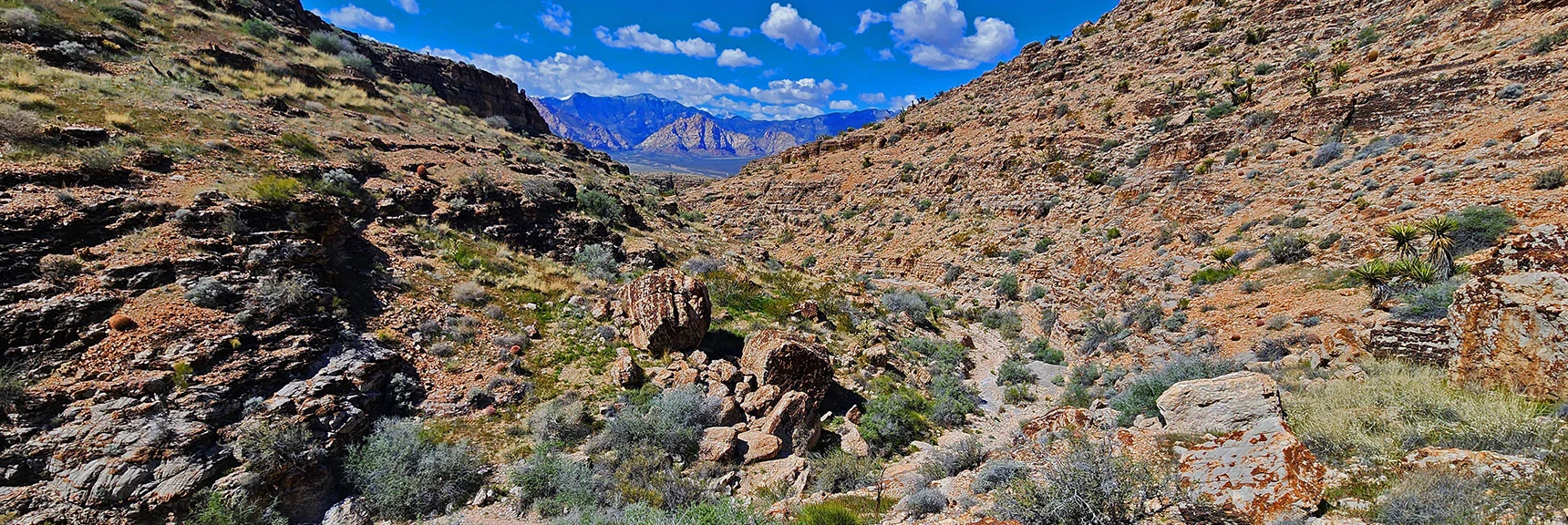 Continuing Down Fossil Canyon on Flat Open Wash with a Few Light Rocky Stretches. | Fossil Canyon | Cowboy Canyon | Blue Diamond Hill, Nevada