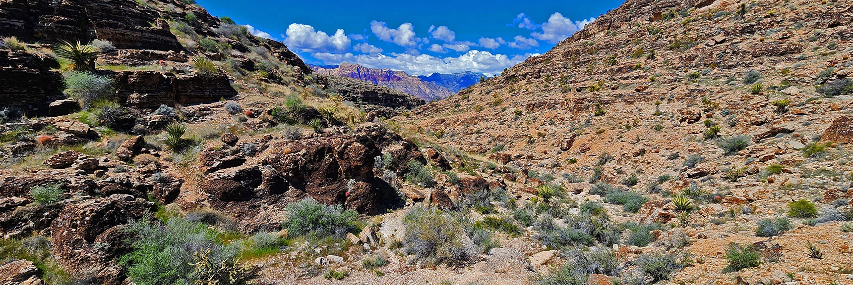 Head Down Cowboy Canyon. Terrain is Not Difficult. | Fossil Canyon | Cowboy Canyon | Blue Diamond Hill, Nevada