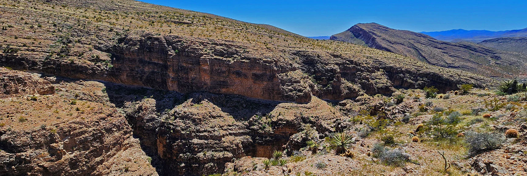 Down Canyon View. Continuing to Descend. | Blue Diamond Hill Southern Ridgelines | Red Rock Canyon, Nevada
