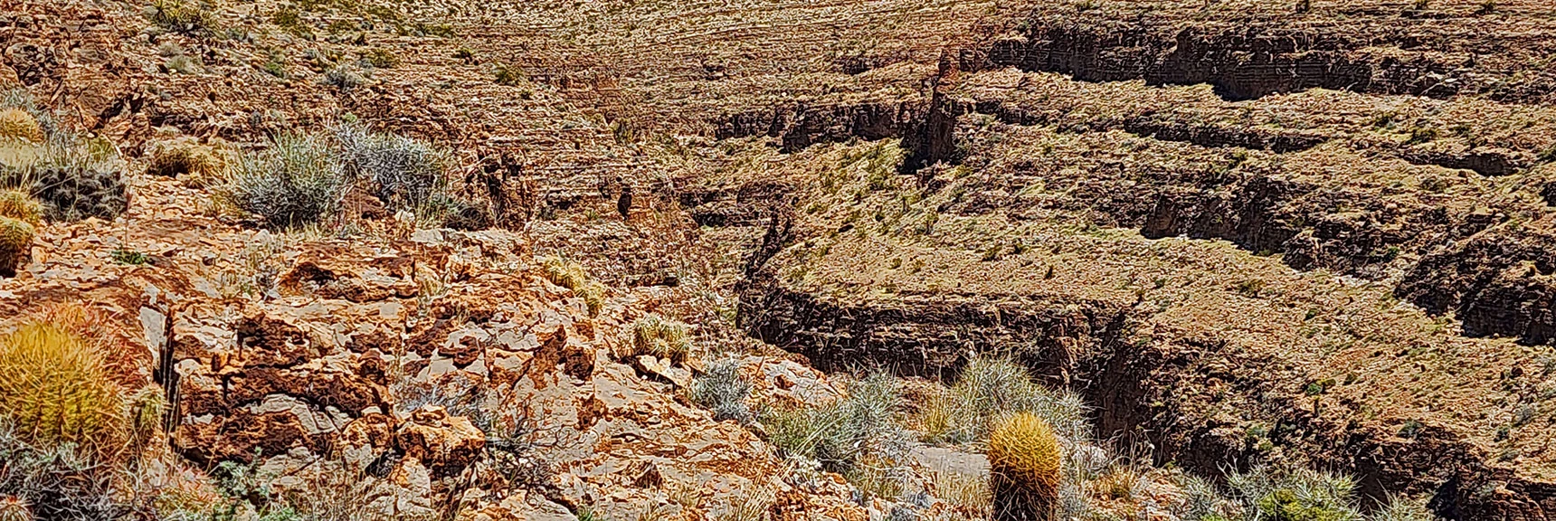 Up Canyon View. Potentially Many Limestone Caves in These Canyon Walls. | Blue Diamond Hill Southern Ridgelines | Red Rock Canyon, Nevada