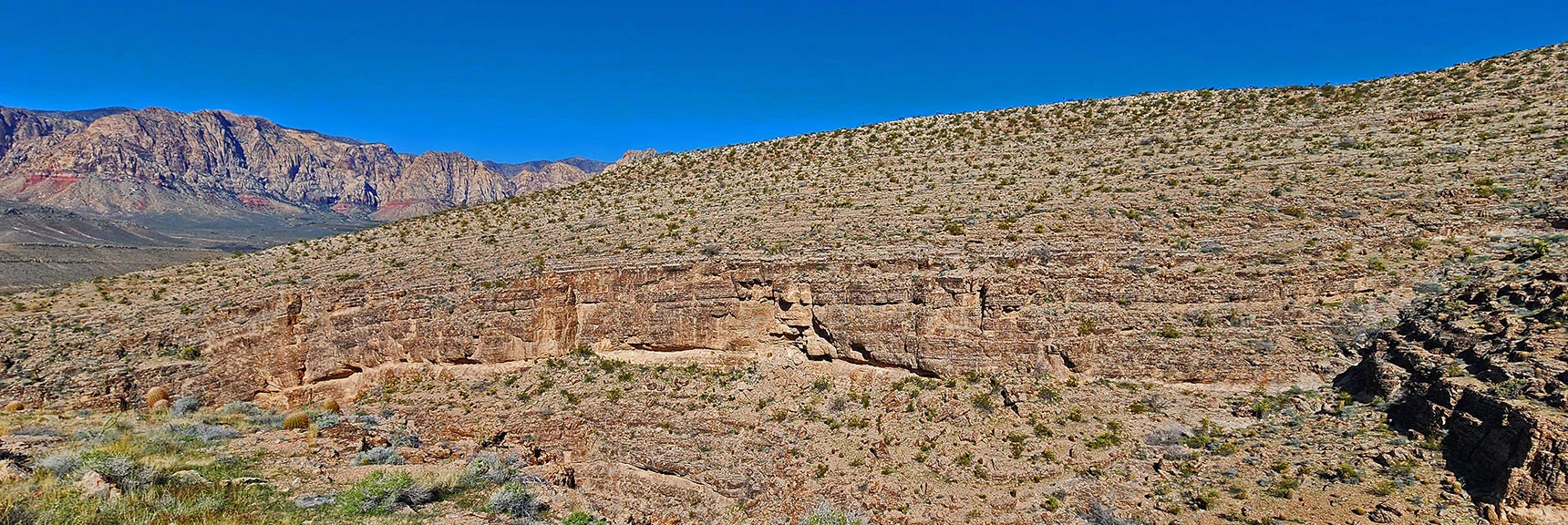 More Potential Cave Openings in the Cracks Half Way Up the Canyon Walls. | Blue Diamond Hill Southern Ridgelines | Red Rock Canyon, Nevada