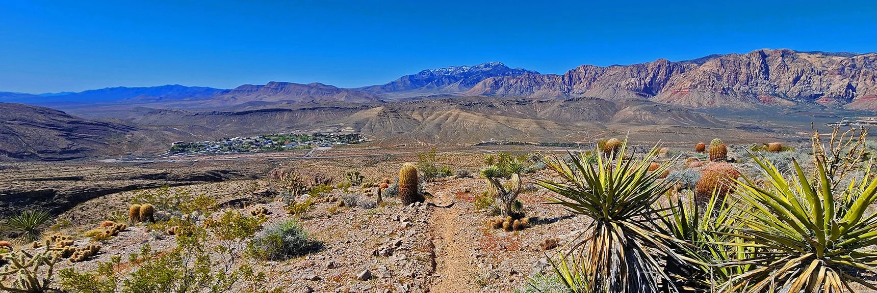Looking Down Toward Blue Diamond Town. These Hills Are a Beautiful Desert Garden! | Blue Diamond Hill Southern Ridgelines | Red Rock Canyon, Nevada