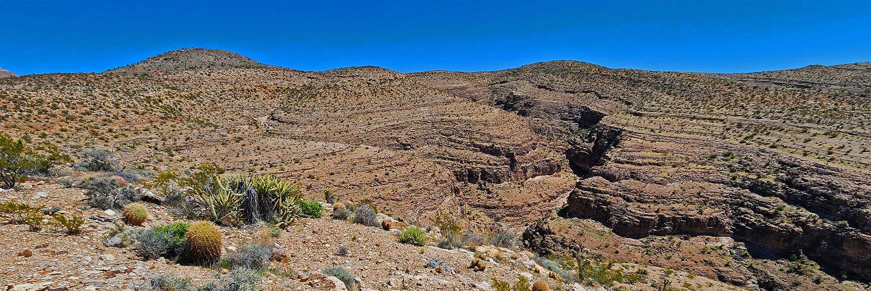 Descending a Ridgeline on South Side of This Huge Canyon. Upward View. | Blue Diamond Hill Southern Ridgelines | Red Rock Canyon, Nevada