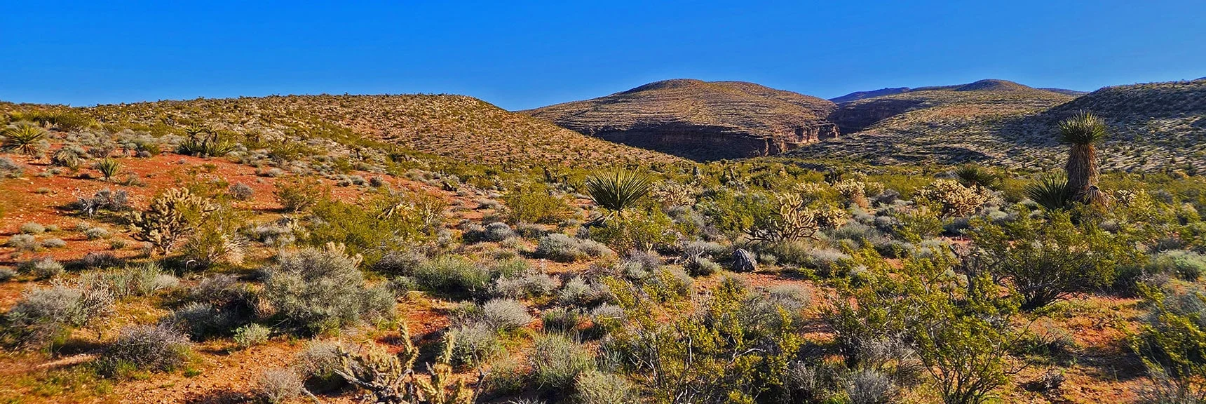 Summit Area Goal is High Point to the Right | Blue Diamond Hill Southern Ridgelines | Red Rock Canyon, Nevada