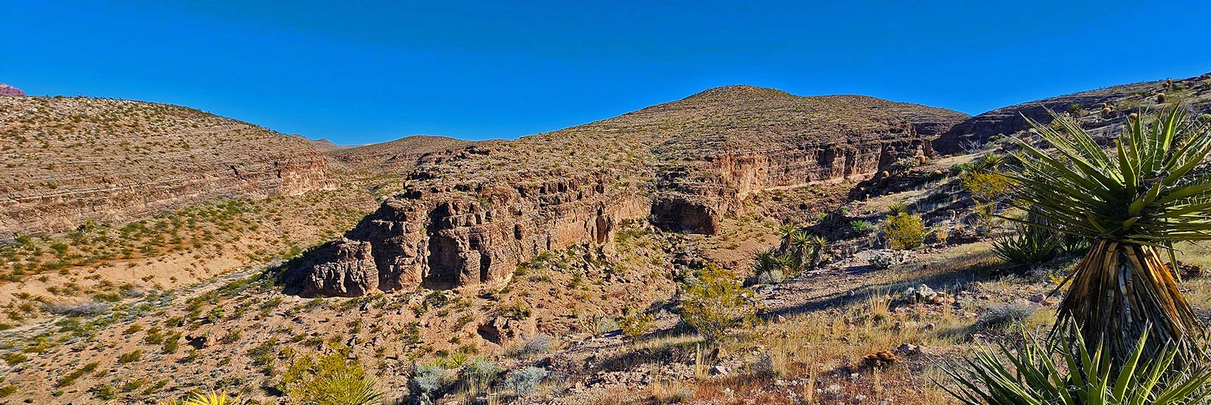 Deep, Majestic Canyons All Around. There Are 9 Canyons. | Blue Diamond Hill Southern Ridgelines | Red Rock Canyon, Nevada