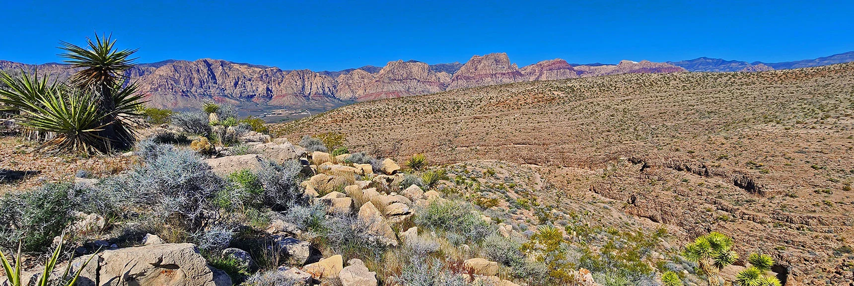 Rainbow Mts. Form Spectacular Background. This is Northern Range. | Blue Diamond Hill Southern Ridgelines | Red Rock Canyon, Nevada