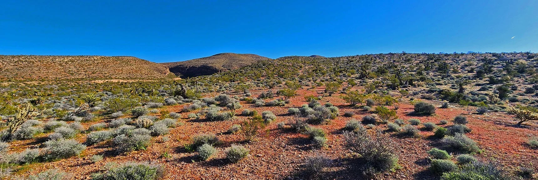 View Up Canyon's South Ridgeline Toward Summit Area Goal. | Blue Diamond Hill Southern Ridgelines | Red Rock Canyon, Nevada