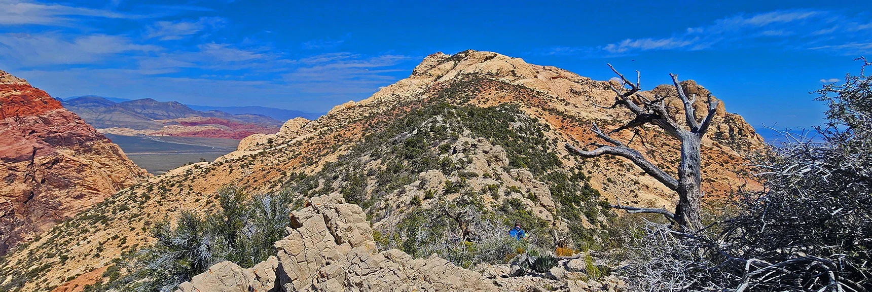 Arrival Above the Mt. Wilson Summit Saddle. Soon a Trail Will Appear. | Mt Wilson Summit Saddle from Lovell Canyon | Rainbow Mountain Wilderness, Nevada
