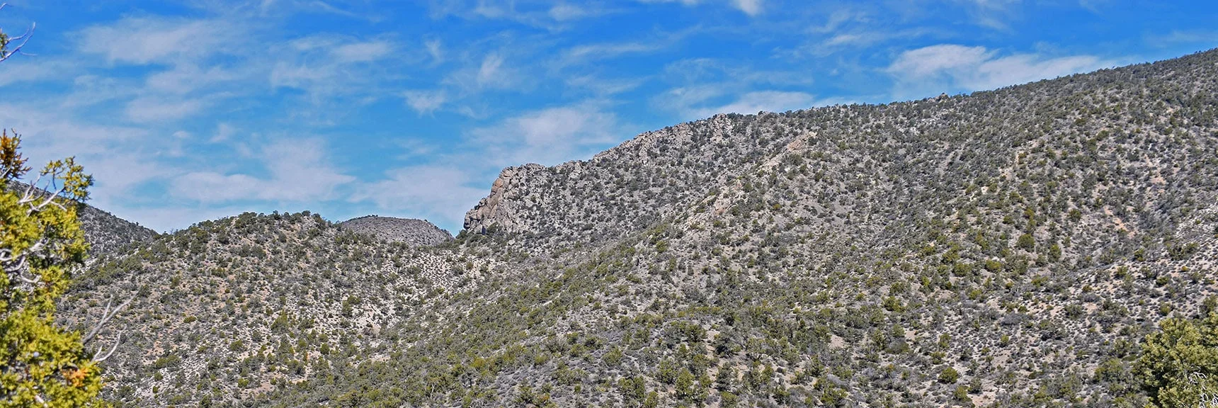 Slope Toward the Upper Crest Ridgeline. This Image is North of Our Summit Point. | Mt Wilson Summit Saddle from Lovell Canyon | Rainbow Mountain Wilderness, Nevada
