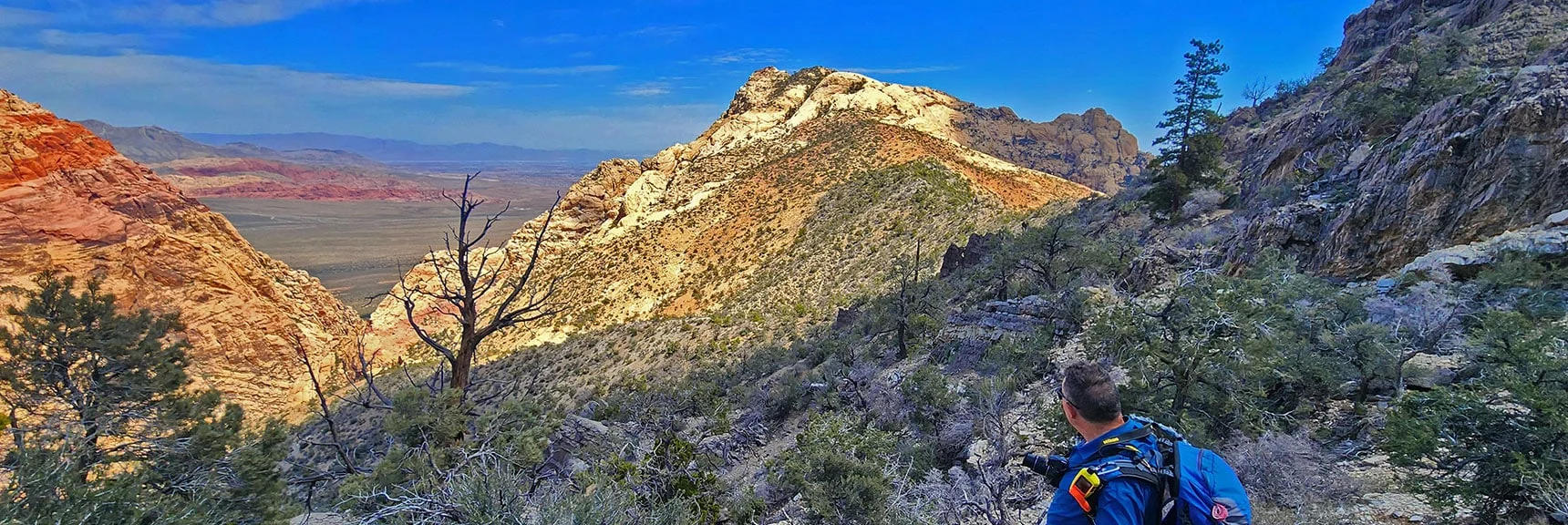 Now Traversing the Stretch Toward Mt. Wilson Saddle. Stay High Along This Stretch. | Mt Wilson Summit Saddle from Lovell Canyon | Rainbow Mountain Wilderness, Nevada