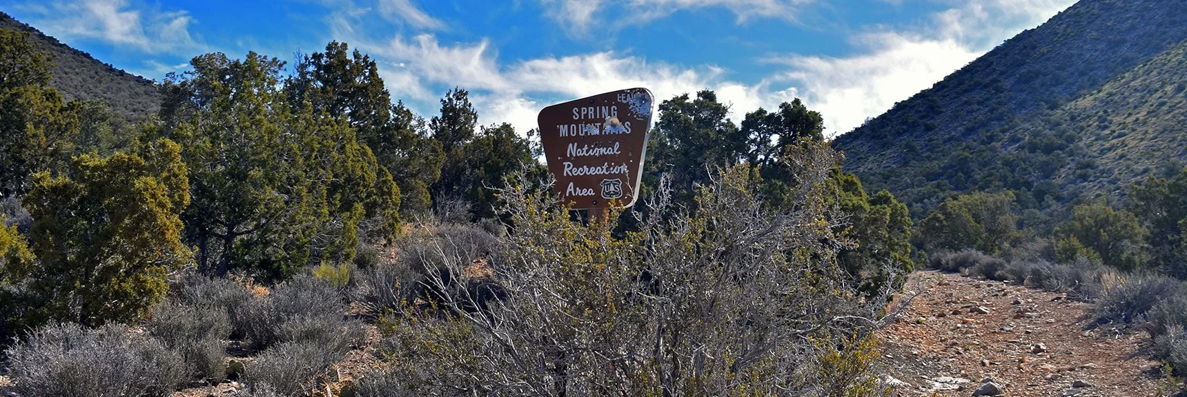 Leaving Salt Grass Road and Ascending the Initial Wash Toward the Upper Crest Ridgeline. | Mt Wilson Summit Saddle from Lovell Canyon | Rainbow Mountain Wilderness, Nevada