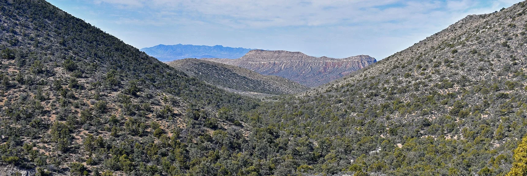 View Back Down the Approach Canyon to Landmark Bluff in Lovell Canyon Below. | Mt Wilson Summit Saddle from Lovell Canyon | Rainbow Mountain Wilderness, Nevada