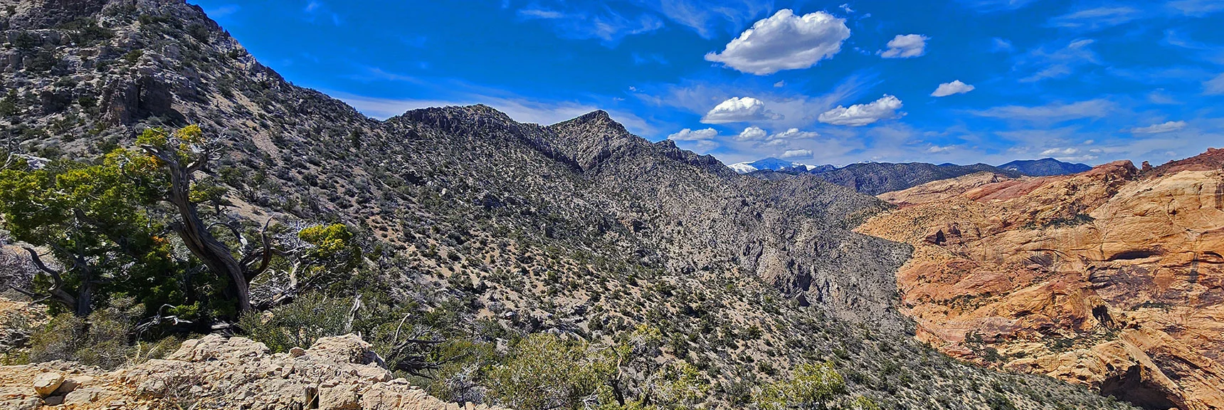 Looking Back Along the Steep Slope Between Upper Crest Ridgeline and Mt. Wilson Summit Saddle. | Mt Wilson Summit Saddle from Lovell Canyon | Rainbow Mountain Wilderness, Nevada