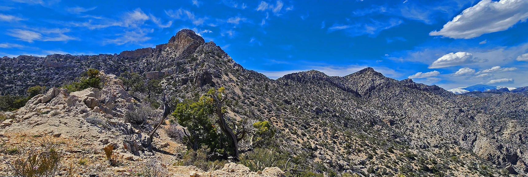 View Back to First Creek Overlook Cliff from the Wilson Summit Saddle. | Mt Wilson Summit Saddle from Lovell Canyon | Rainbow Mountain Wilderness, Nevada