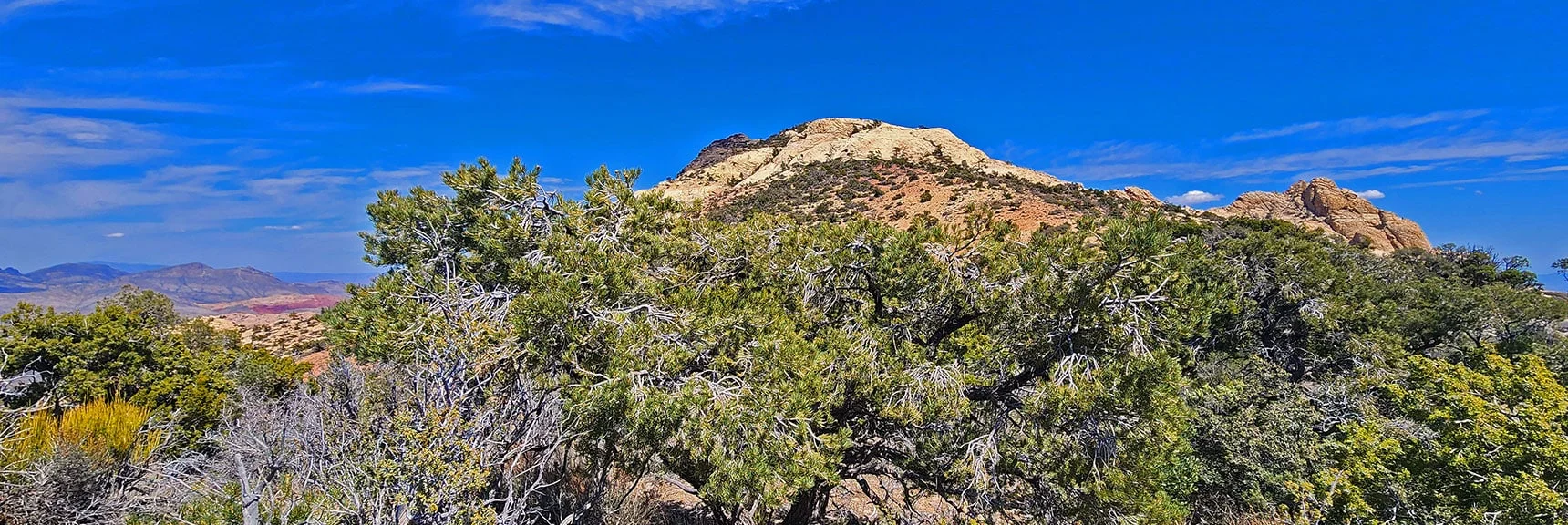 View Toward Mt. Wilson Summit. Once on the Sandstone Angle to the Right and Up. | Mt Wilson Summit Saddle from Lovell Canyon | Rainbow Mountain Wilderness, Nevada